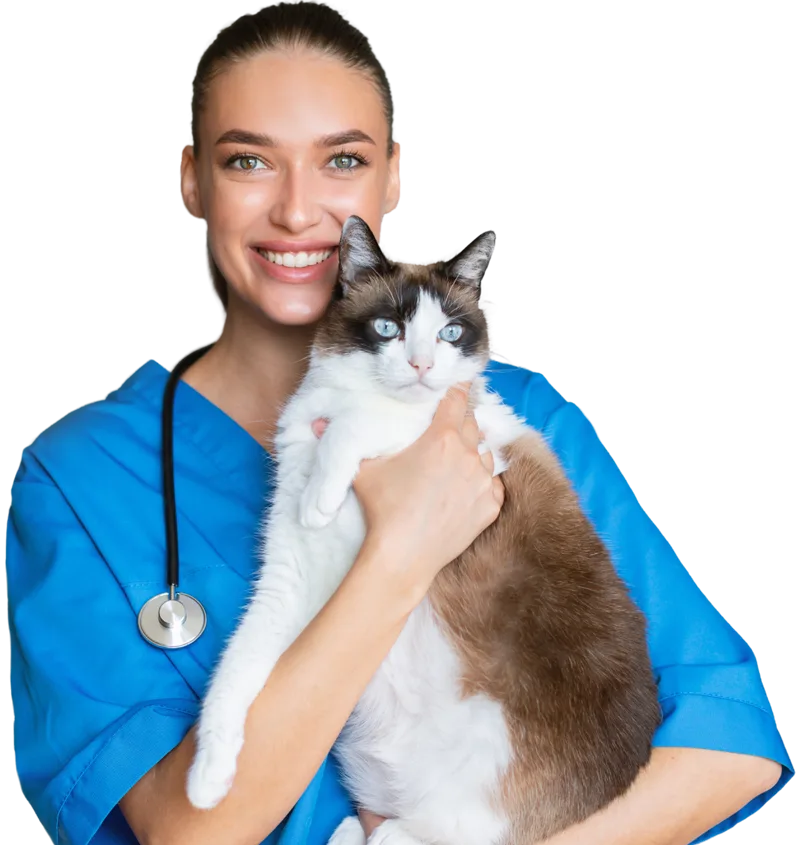 Home - Cat With Female Doctor 2 - Mavis Road Animal Clinic