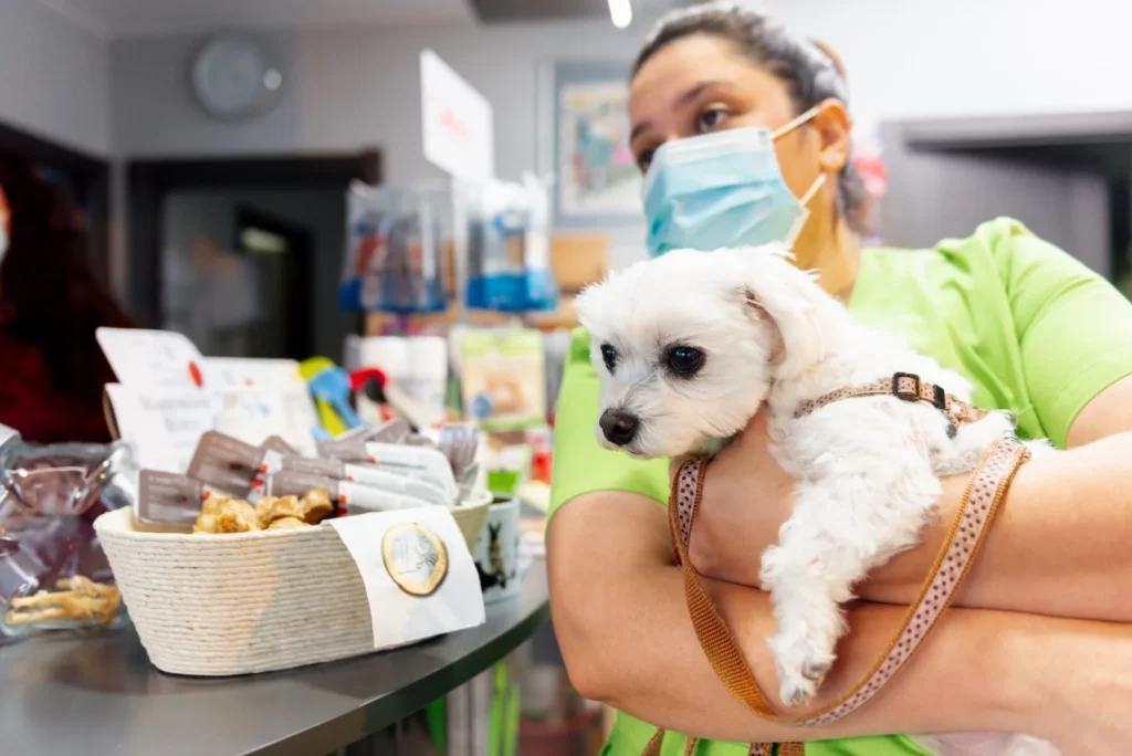 Pet Nutrition Services - Pet Nutrition Services 1 - Mavis Road Animal Clinic